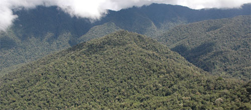 Vista a&eacute;rea de las monta&ntilde;as Foja, en la parte occidental de la isla de Nueva Guinea. Foto: Conservaci&oacute;n Internacional.