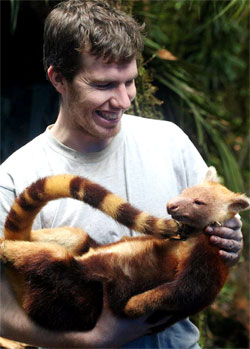 El especialista en mam&iacute;feros Kris Helgen, con un ejemplar de canguro arbor&iacute;cola dorado en los brazos. Foto: Conservatci&oacute;n Internacional.