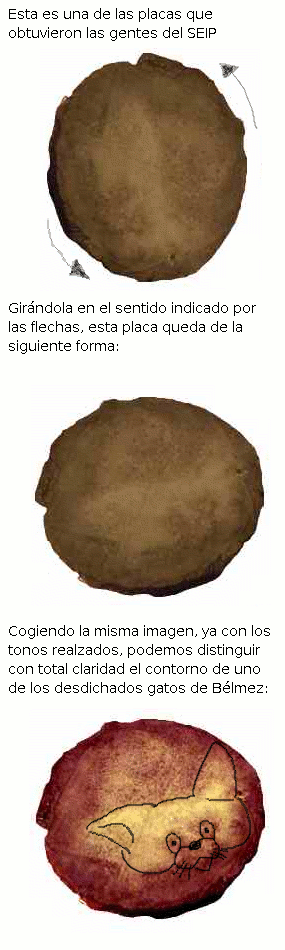 Uno de los gatos de B&eacute;lmez quiere decirnos algo...