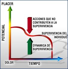 [imagen]