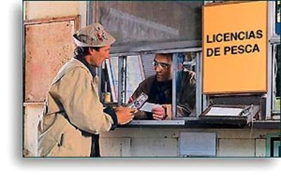 ¿Cómo Cienciología me ayuda con...?