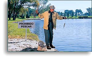 ¿Cómo Cienciología me ayuda con...?