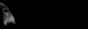 http://www.elrongroup.org/im3/ksghosty_e0.gif