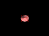 http://www.elrongroup.org/imagenes/clip_image001_0003.gif