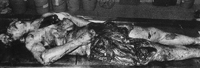 http://www.elrongroup.org/im2/cboisaca.JPG