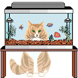 http://www.pergaminovirtual.com/blogs/uploads/o/obnosis1/11707.gif