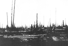 http://www.elrongroup.org/imagenes/tunguska2.JPG