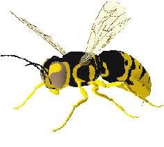 abeja-mov23.gif (25653 bytes)