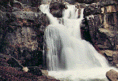 n_wafa01.gif (63933 bytes)