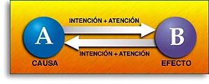 &iquest;C&oacute;mo Cienciolog&iacute;a me ayuda con...?