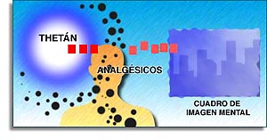 &iquest;C&oacute;mo Cienciolog&iacute;a me ayuda con...?