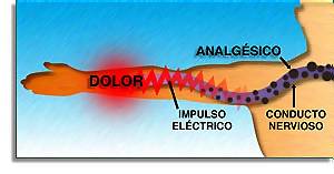 &iquest;C&oacute;mo Cienciolog&iacute;a me ayuda con...?