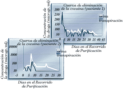 Imagen: 21KB